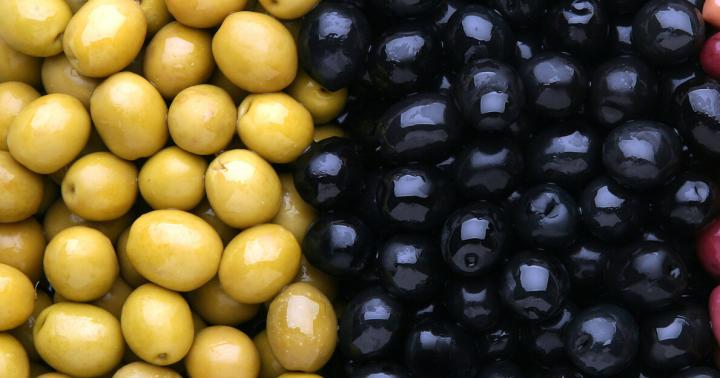 Химический состав столовых сортов маслины