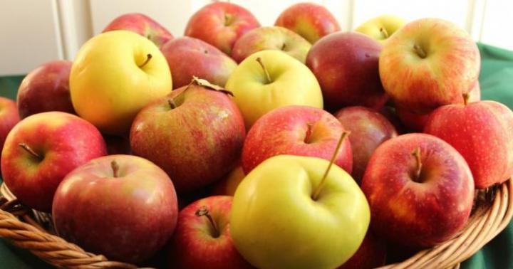 Загадка про яблоко - для детей и их родителей Загадка с отгадкой яблоко