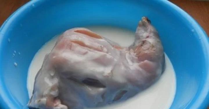 Горячие блюда из кролика: Кролик, тушеный в молоке Для приготовления понадобится