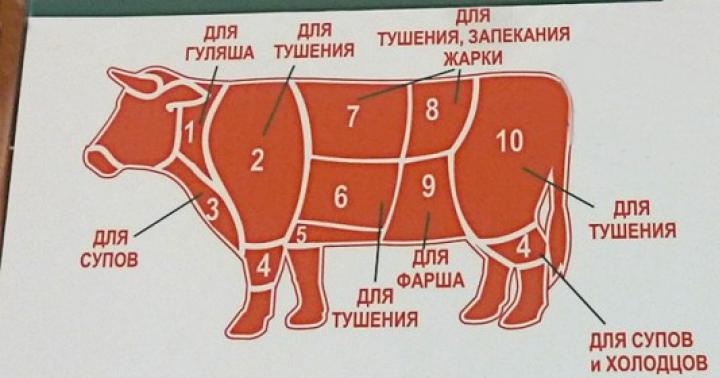 Корова какое мясо. Части говядины. Разделка говядины. Части туши говядины схема. Схема разруба говядины.
